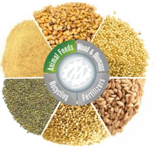 পশুখাদ্য